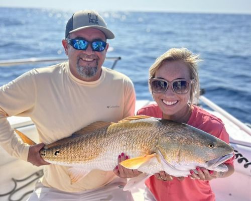 Port Orange Charters | Offshore Fishing Charter In Florida